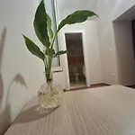 بيت ضيافة Il Canto Della Fontana نابولي
